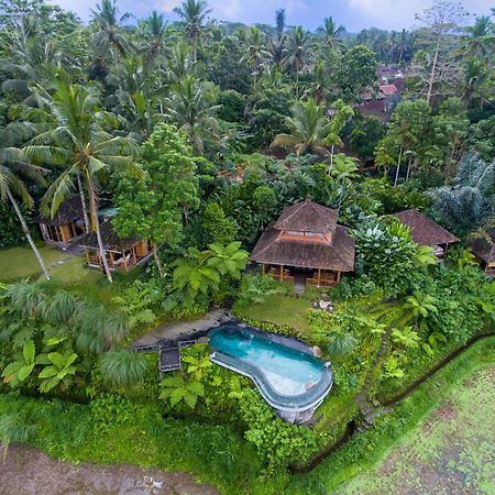 Dewi Tara Haven Bed & Breakfast Payangan Екстериор снимка