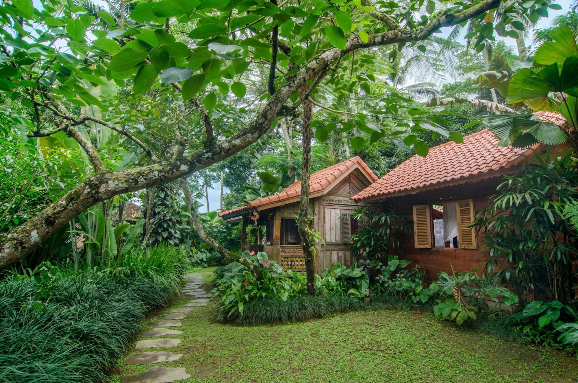 Dewi Tara Haven Bed & Breakfast Payangan Стая снимка