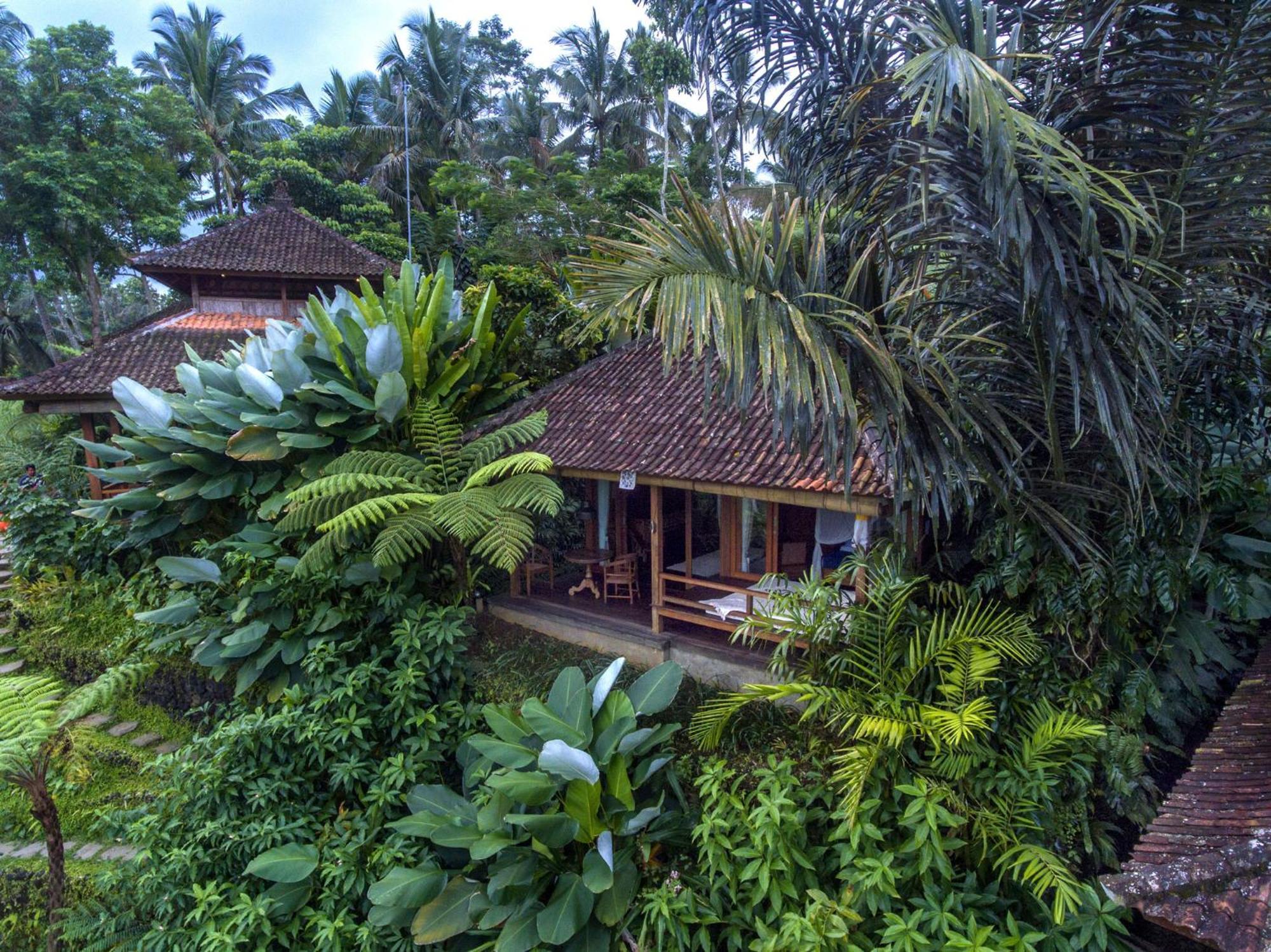 Dewi Tara Haven Bed & Breakfast Payangan Стая снимка