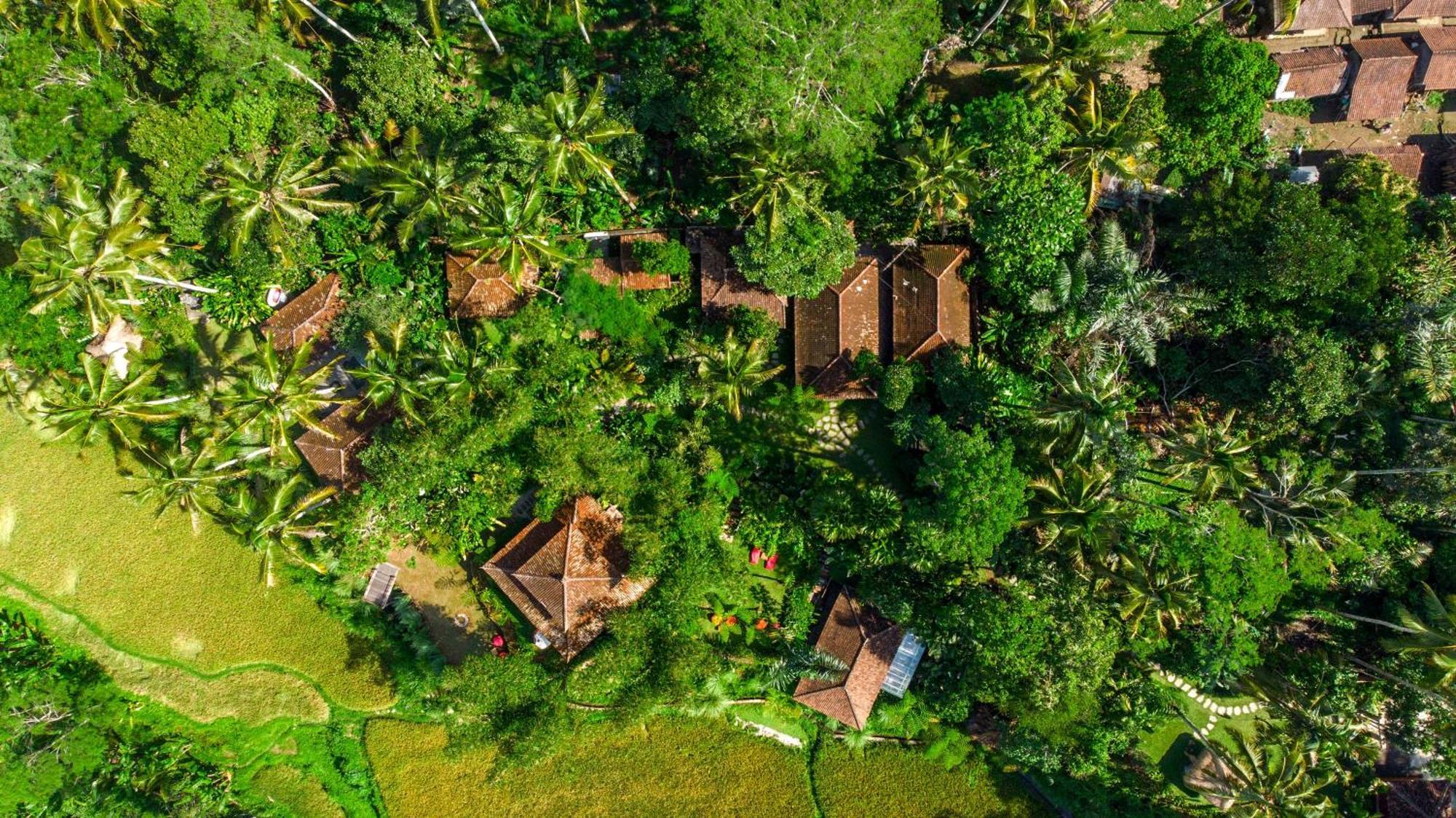 Dewi Tara Haven Bed & Breakfast Payangan Екстериор снимка