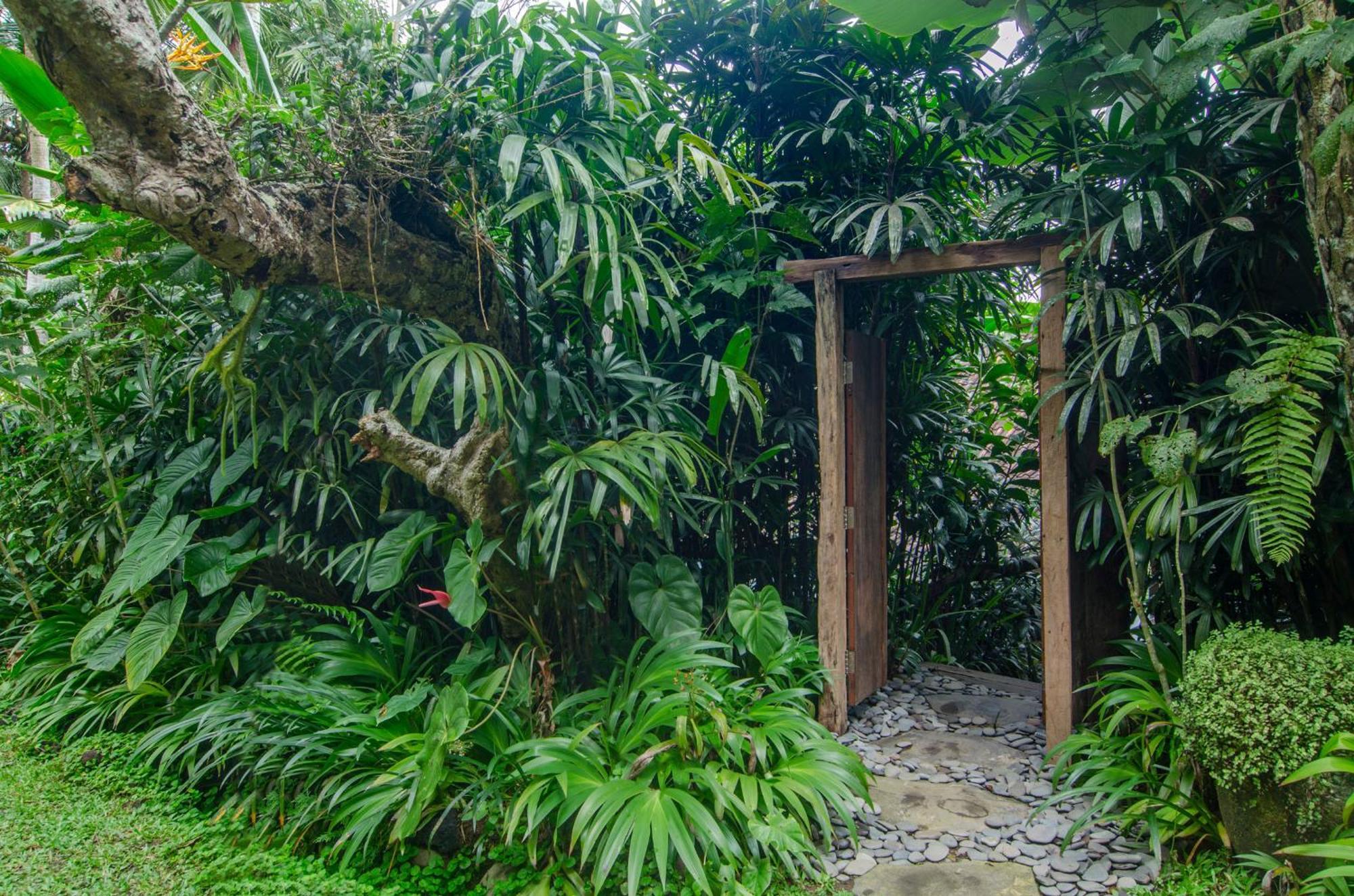 Dewi Tara Haven Bed & Breakfast Payangan Стая снимка