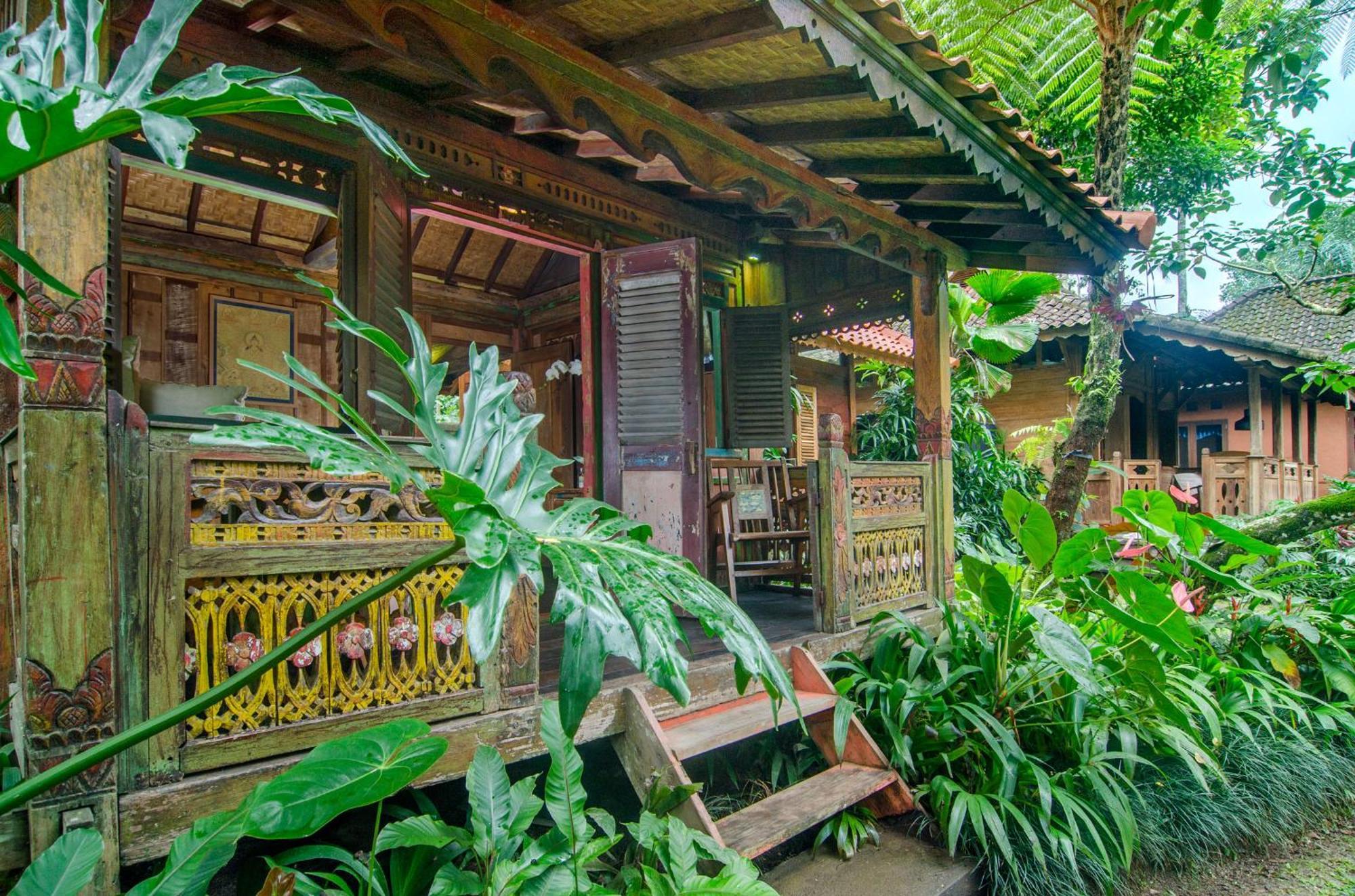 Dewi Tara Haven Bed & Breakfast Payangan Стая снимка