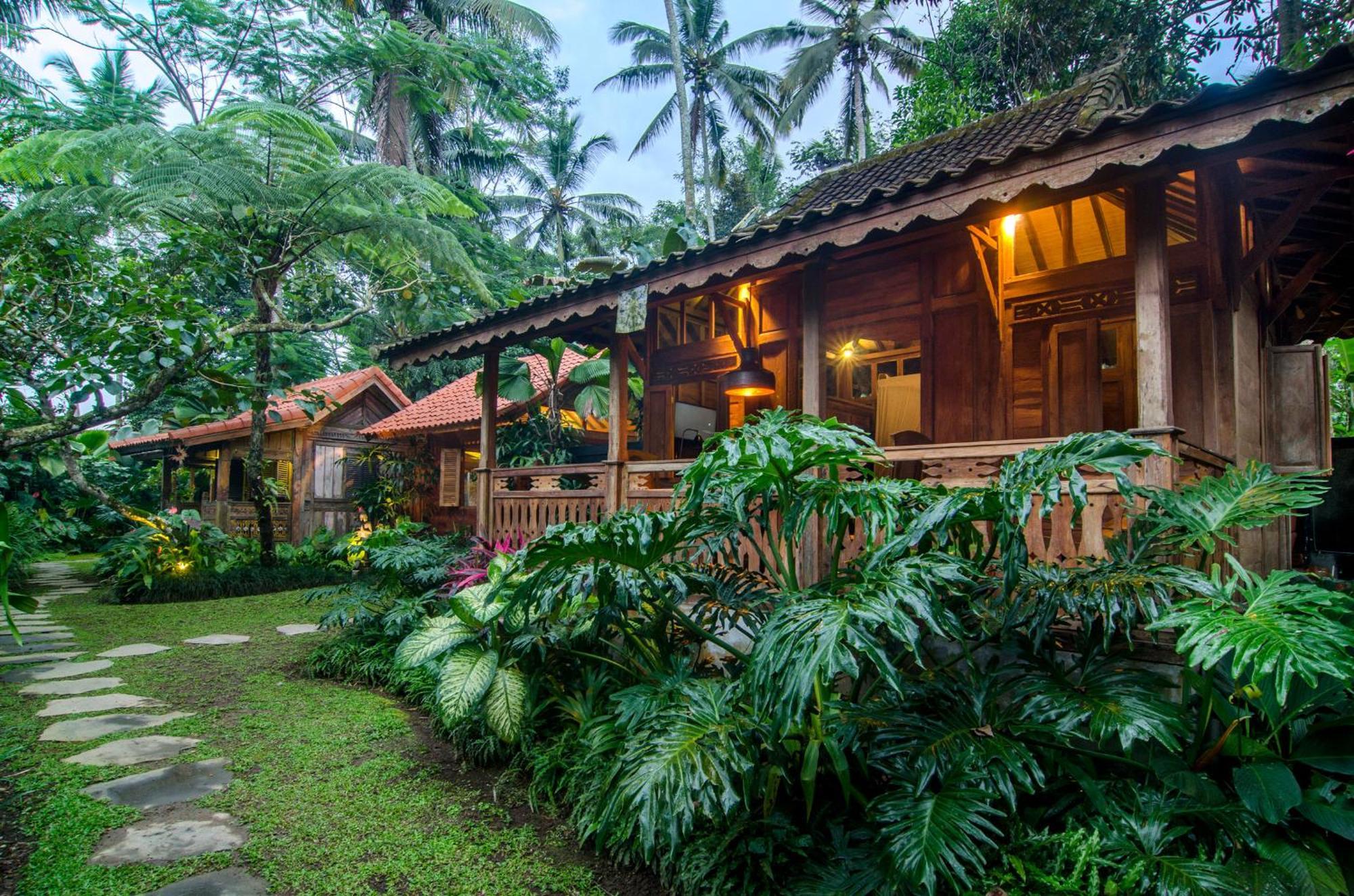 Dewi Tara Haven Bed & Breakfast Payangan Стая снимка