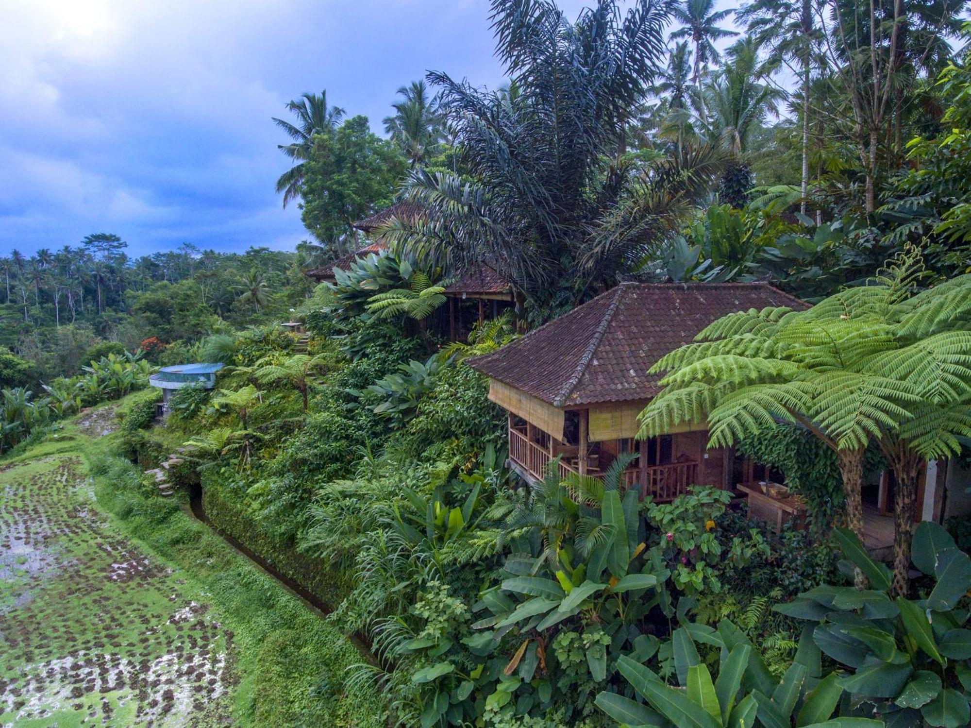 Dewi Tara Haven Bed & Breakfast Payangan Стая снимка