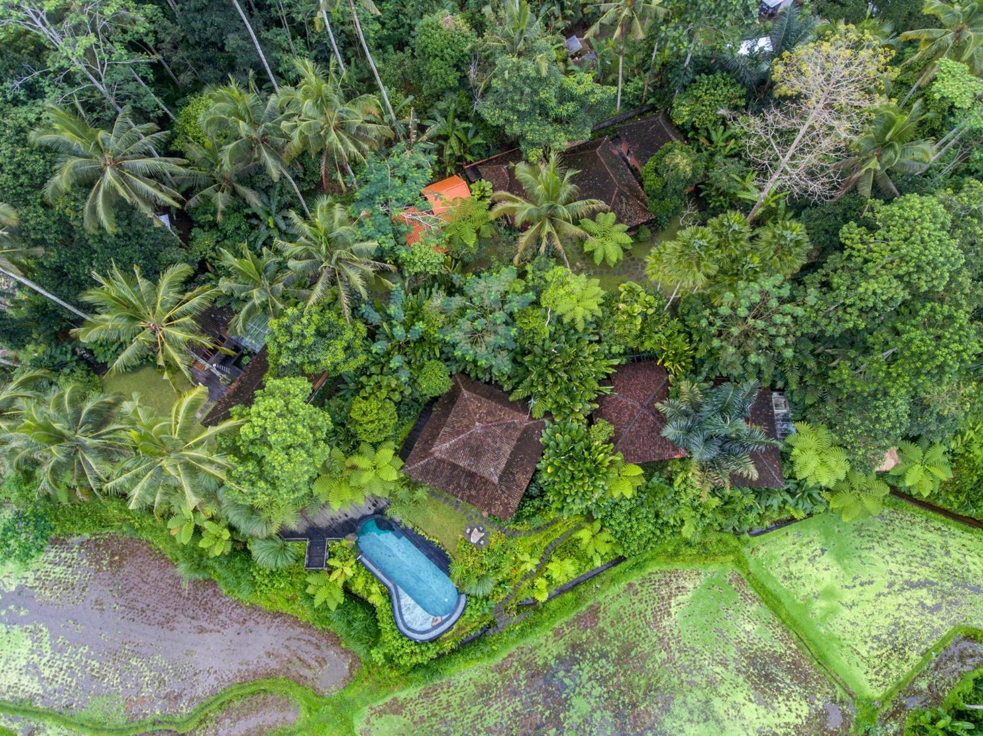 Dewi Tara Haven Bed & Breakfast Payangan Стая снимка